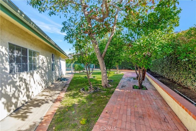 view of yard with a patio area