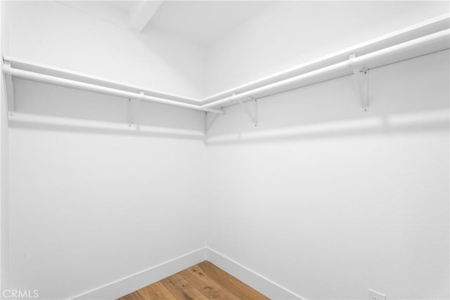 walk in closet with hardwood / wood-style floors