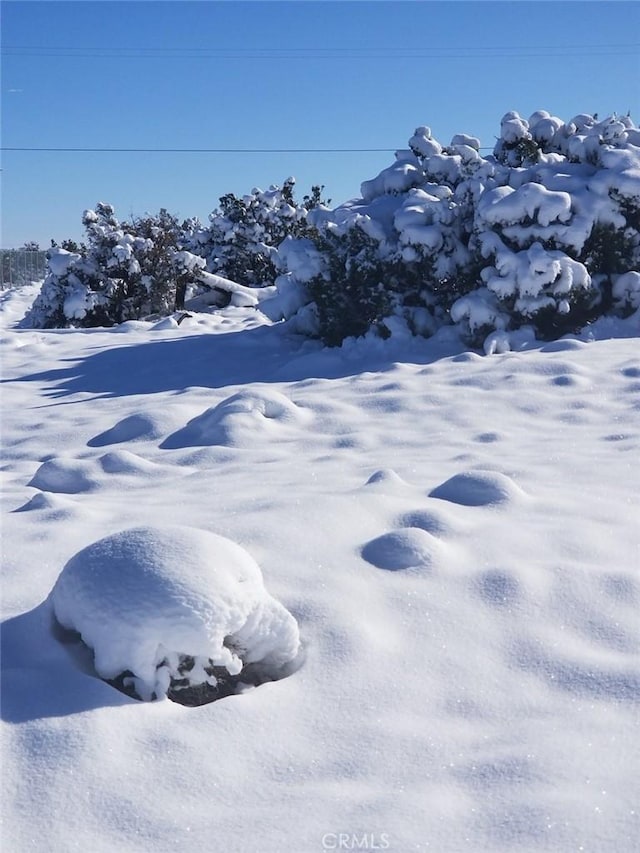 view of yard layered in snow