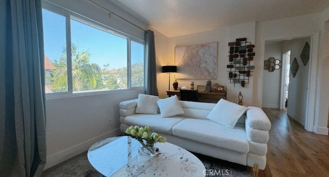 living room with hardwood / wood-style flooring