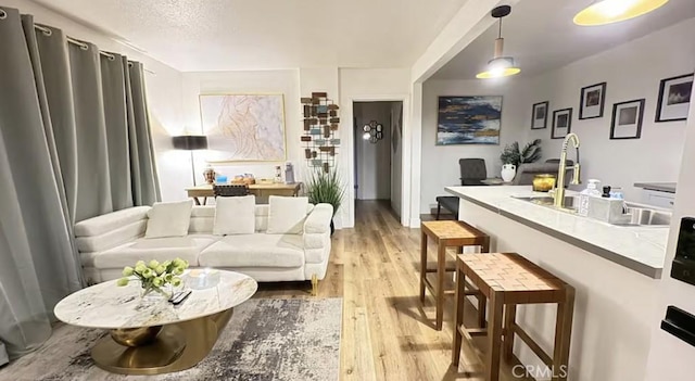 living room with light hardwood / wood-style floors