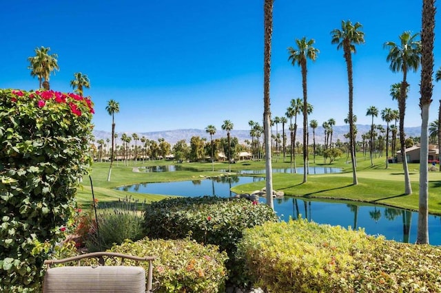 surrounding community with a water and mountain view and a lawn