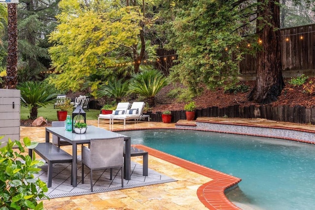 view of swimming pool with a patio