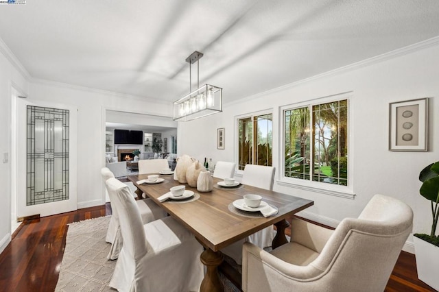 dining area featuring dark wood-type flooring and ornamental molding