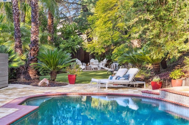 view of pool featuring a patio area