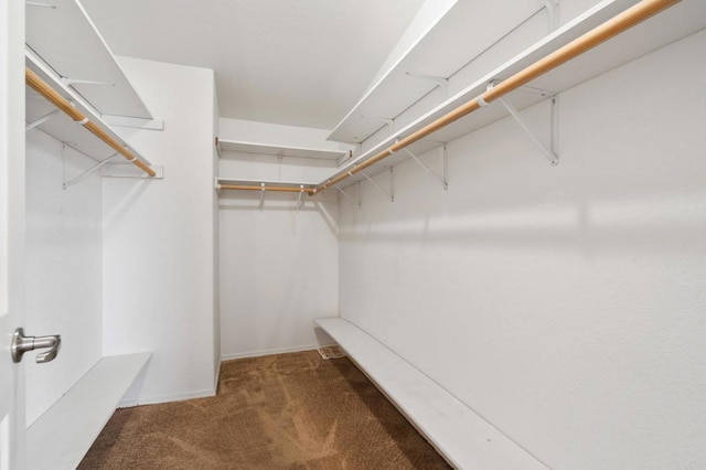 spacious closet with dark colored carpet