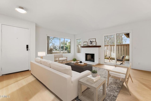 living room featuring a healthy amount of sunlight, a fireplace, and light hardwood / wood-style flooring