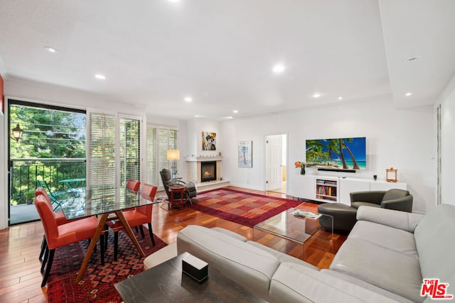 living room featuring wood-type flooring