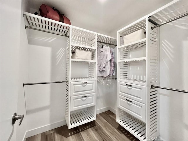 spacious closet with dark wood-style floors