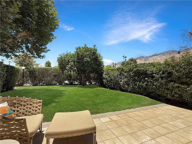 1137 Tiffany Cir S, Palm Springs, CA 92262 - view of green lawn featuring a patio and a mountain view