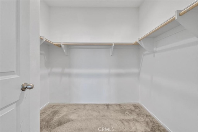 spacious closet with light carpet