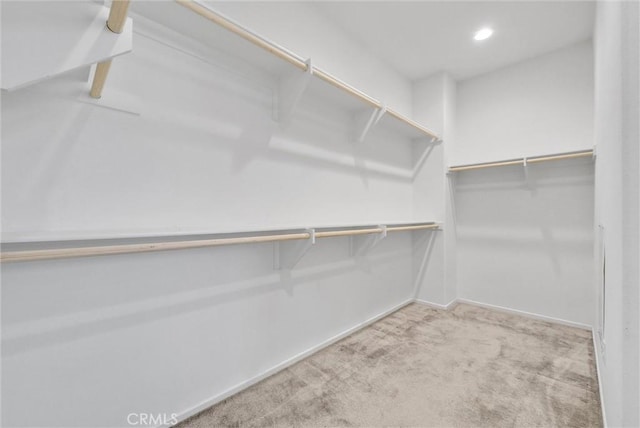 spacious closet with light colored carpet