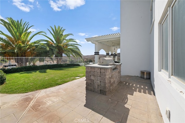 view of patio / terrace with area for grilling and grilling area