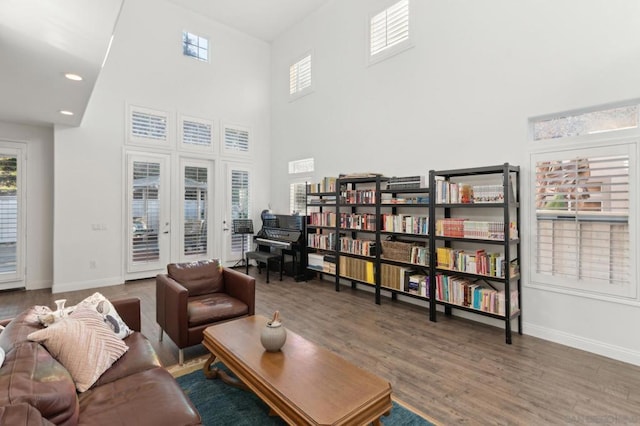 interior space featuring dark wood-type flooring and a high ceiling