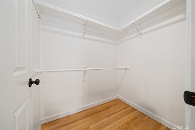 734 Linden Ave Unit 7, Long Beach, CA 90813 - walk in closet with light wood-type flooring