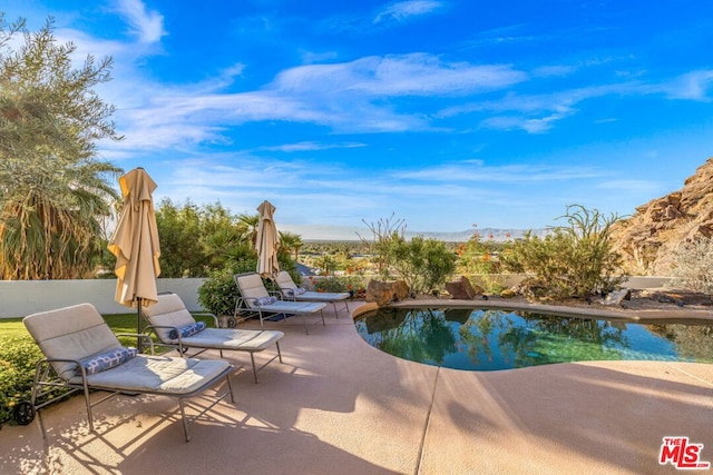 view of pool featuring a patio