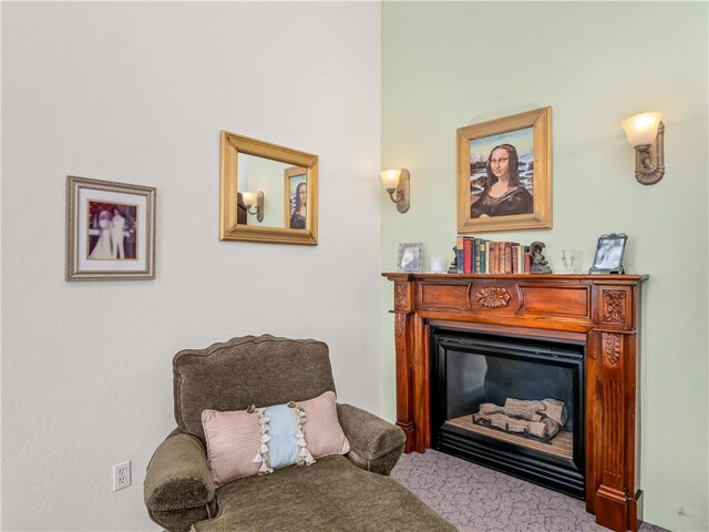 living area featuring carpet floors