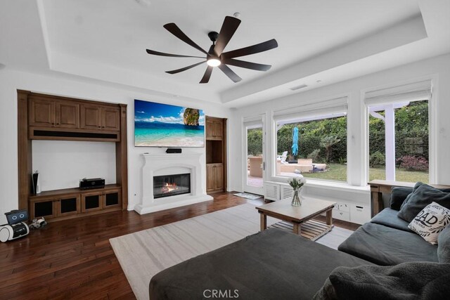 living room with ceiling fan, plenty of natural light, dark hardwood / wood-style flooring, and a raised ceiling