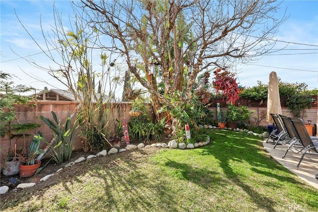 view of yard with a fenced backyard and a patio