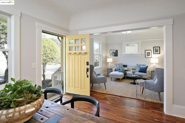 living area featuring dark wood-type flooring