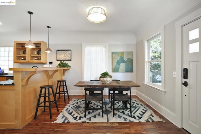 dining area featuring dark wood-type flooring