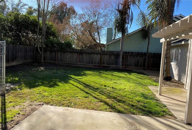 view of yard with a patio area