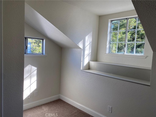 bonus room featuring vaulted ceiling and carpet