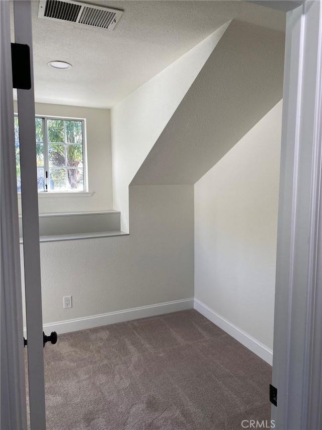 bonus room with carpet flooring and a textured ceiling