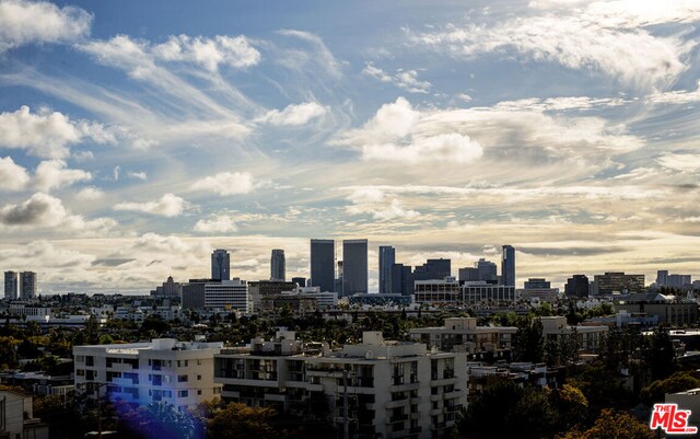 property's view of city