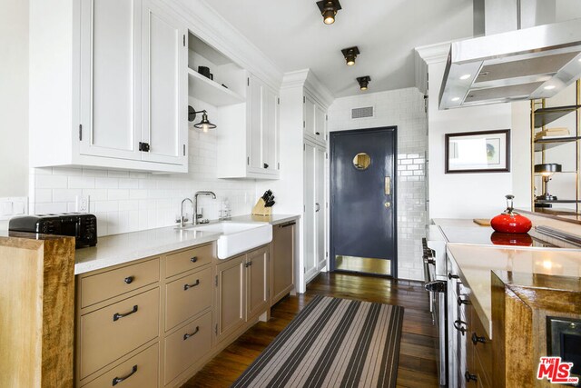 kitchen featuring sink, dishwasher, dark hardwood / wood-style floors, tasteful backsplash, and island exhaust hood