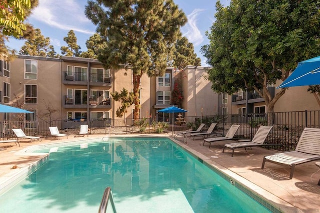 view of pool with a patio