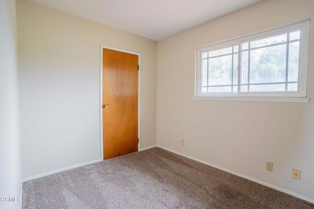 spare room featuring carpet floors and a textured ceiling