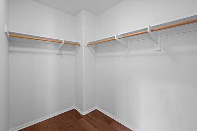 walk in closet with hardwood / wood-style floors