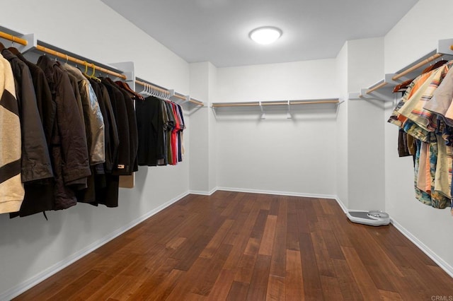 walk in closet with dark hardwood / wood-style flooring