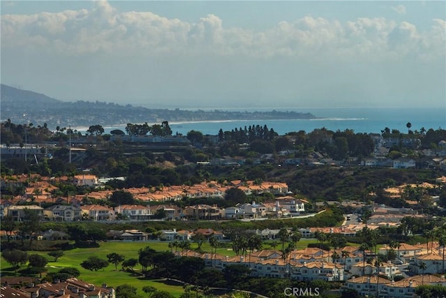 23241 Tasmania Cir, Dana Point, CA 92629 - aerial view of a large body of water