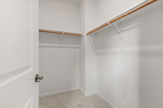 spacious closet with light colored carpet