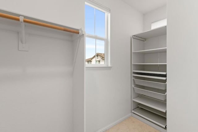 spacious closet featuring light colored carpet