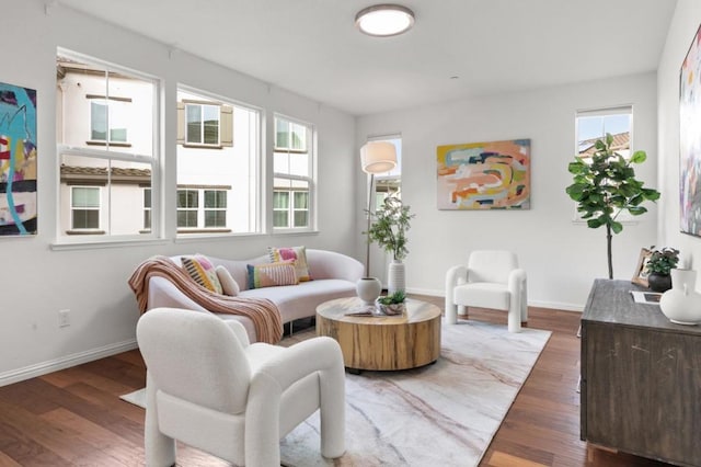 living room featuring dark wood-type flooring