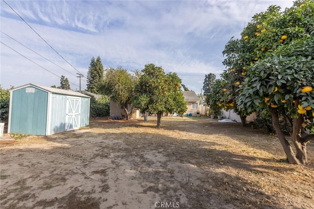 view of yard with a shed