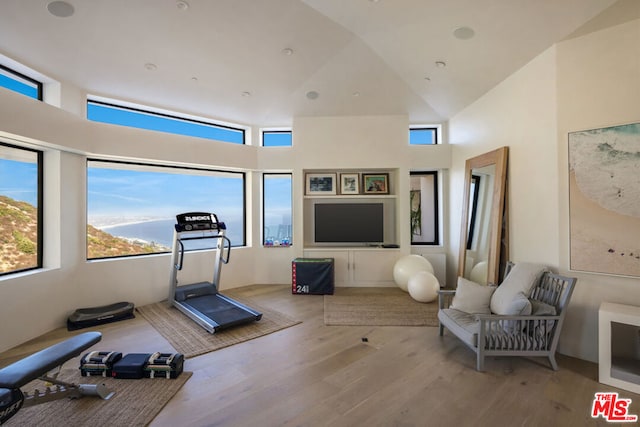 workout room featuring a towering ceiling, light hardwood / wood-style flooring, and a healthy amount of sunlight