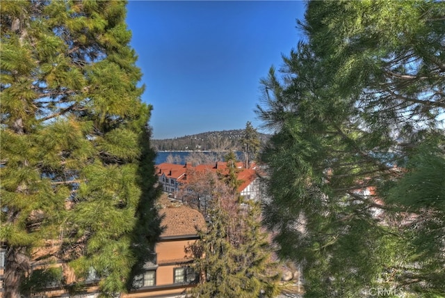 28050 State Highway 189 Unit 212, Lake Arrowhead, CA 92352 - view of side of home