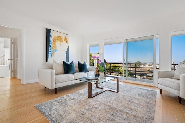 living room with light hardwood / wood-style flooring