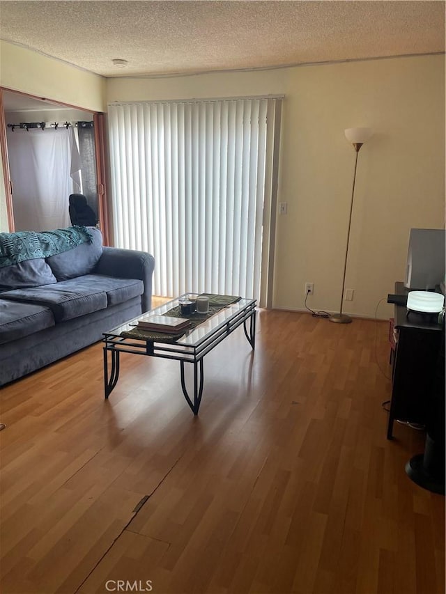 living room featuring hardwood / wood-style floors and a textured ceiling