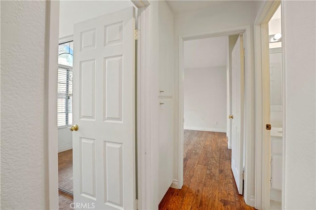 hall with dark hardwood / wood-style floors and a wealth of natural light