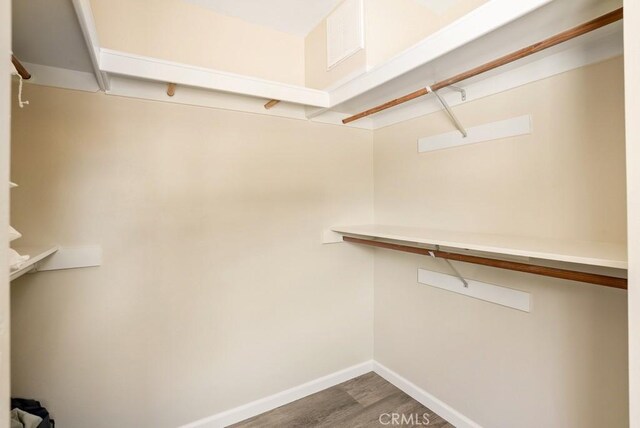 walk in closet featuring wood-type flooring