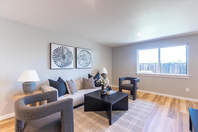 living room with light hardwood / wood-style floors