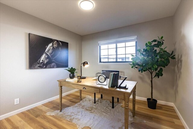 office space featuring wood-type flooring