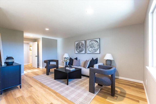 living room with light wood-type flooring