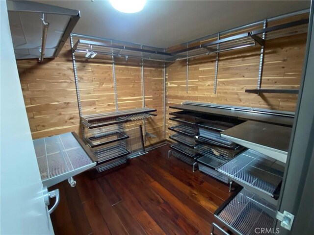 walk in closet featuring dark hardwood / wood-style flooring