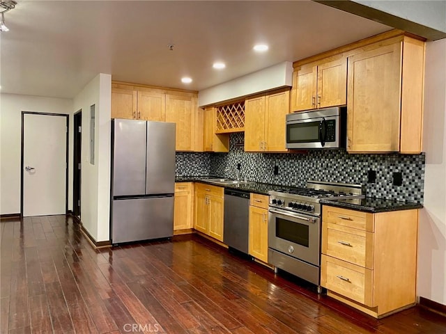 kitchen featuring dark hardwood / wood-style flooring, tasteful backsplash, and appliances with stainless steel finishes